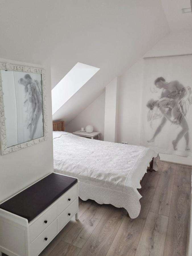 Gallery Balta Apartments カウナス エクステリア 写真